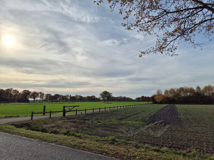 Foto 35 van Heibloem 22