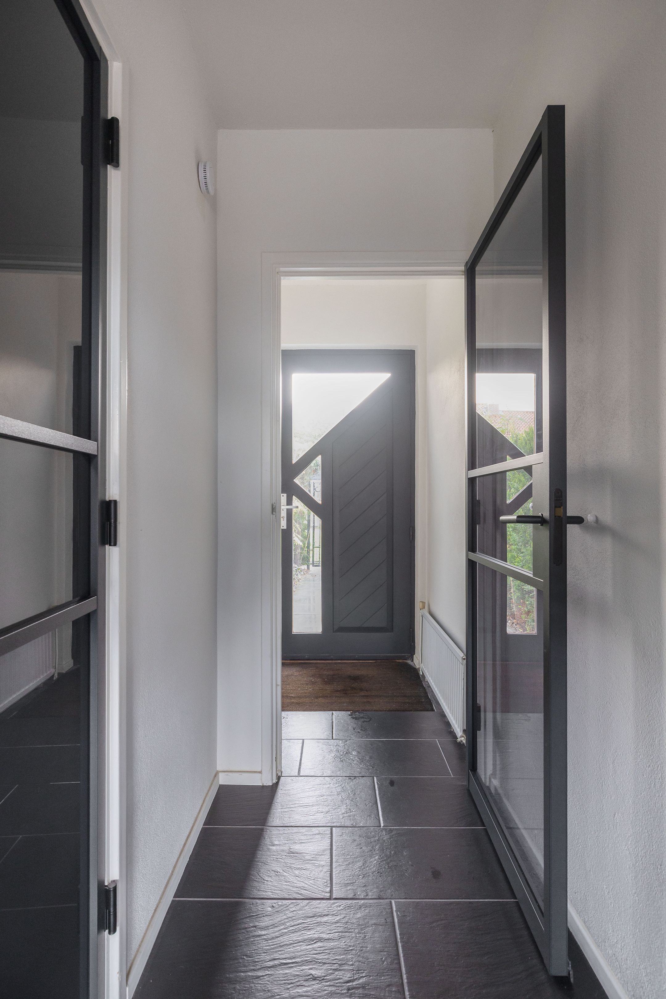 Photo 51 of van Alkemadelaan 44