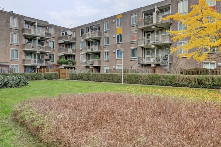 Foto 3 van Bernard Shawsingel 260