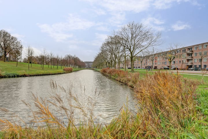 Foto 5 van Bernard Shawsingel 260