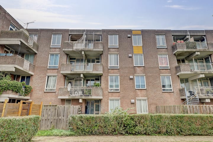 Foto 7 van Bernard Shawsingel 260