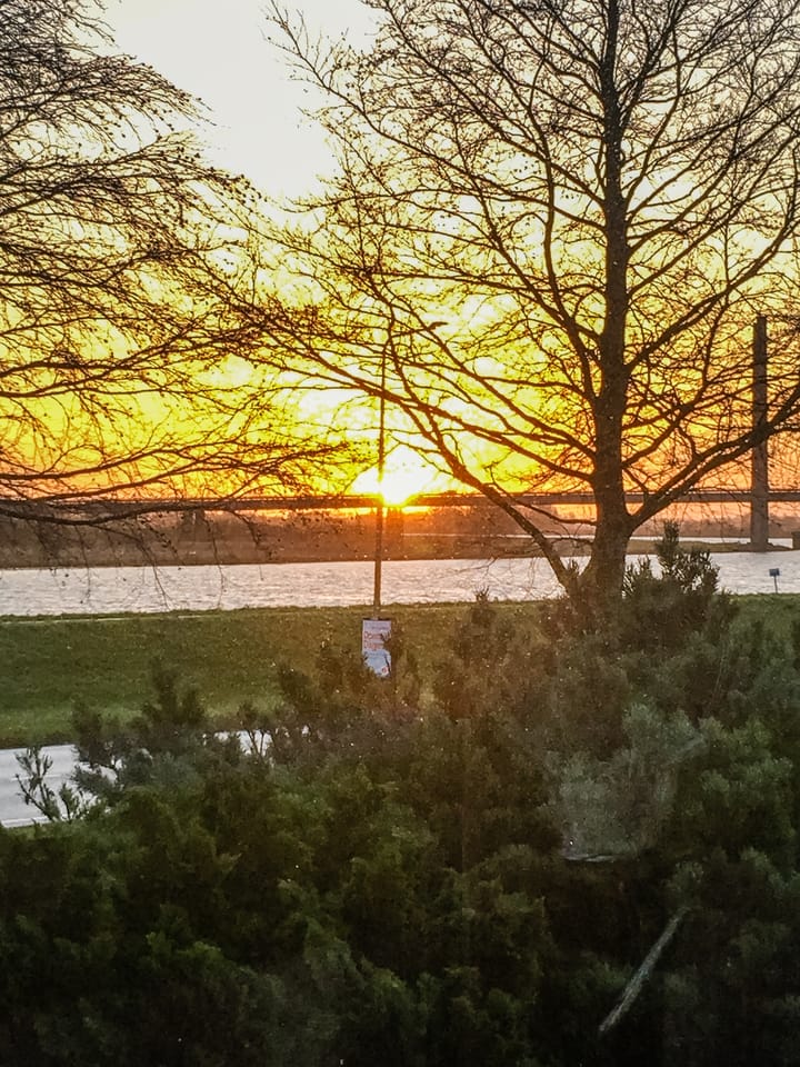 Foto 104 van Beukenweg 6