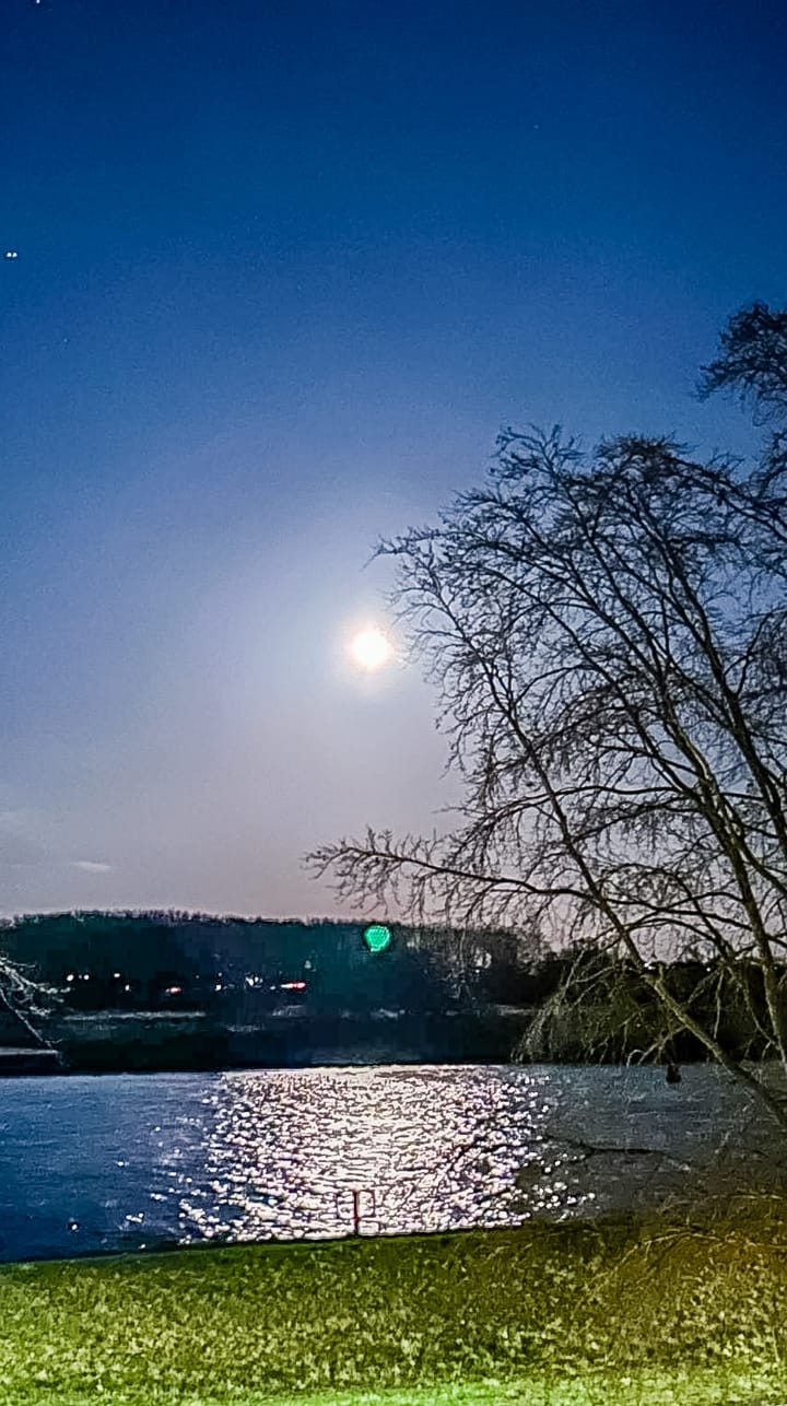 Foto 105 van Beukenweg 6