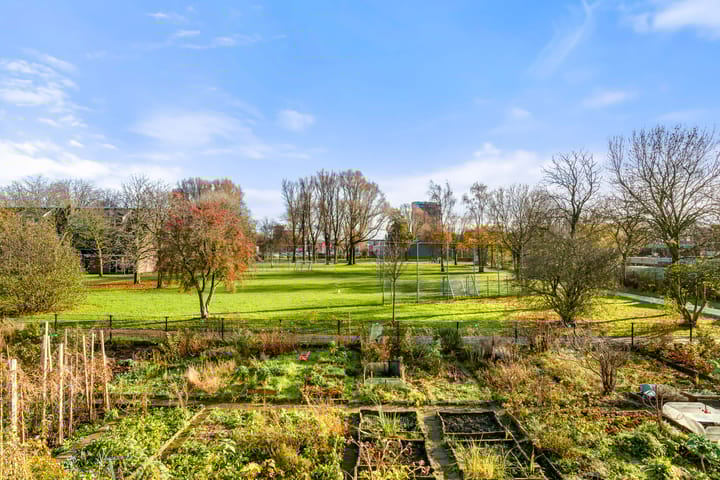 Foto 5 van President Steijnstraat 43-B