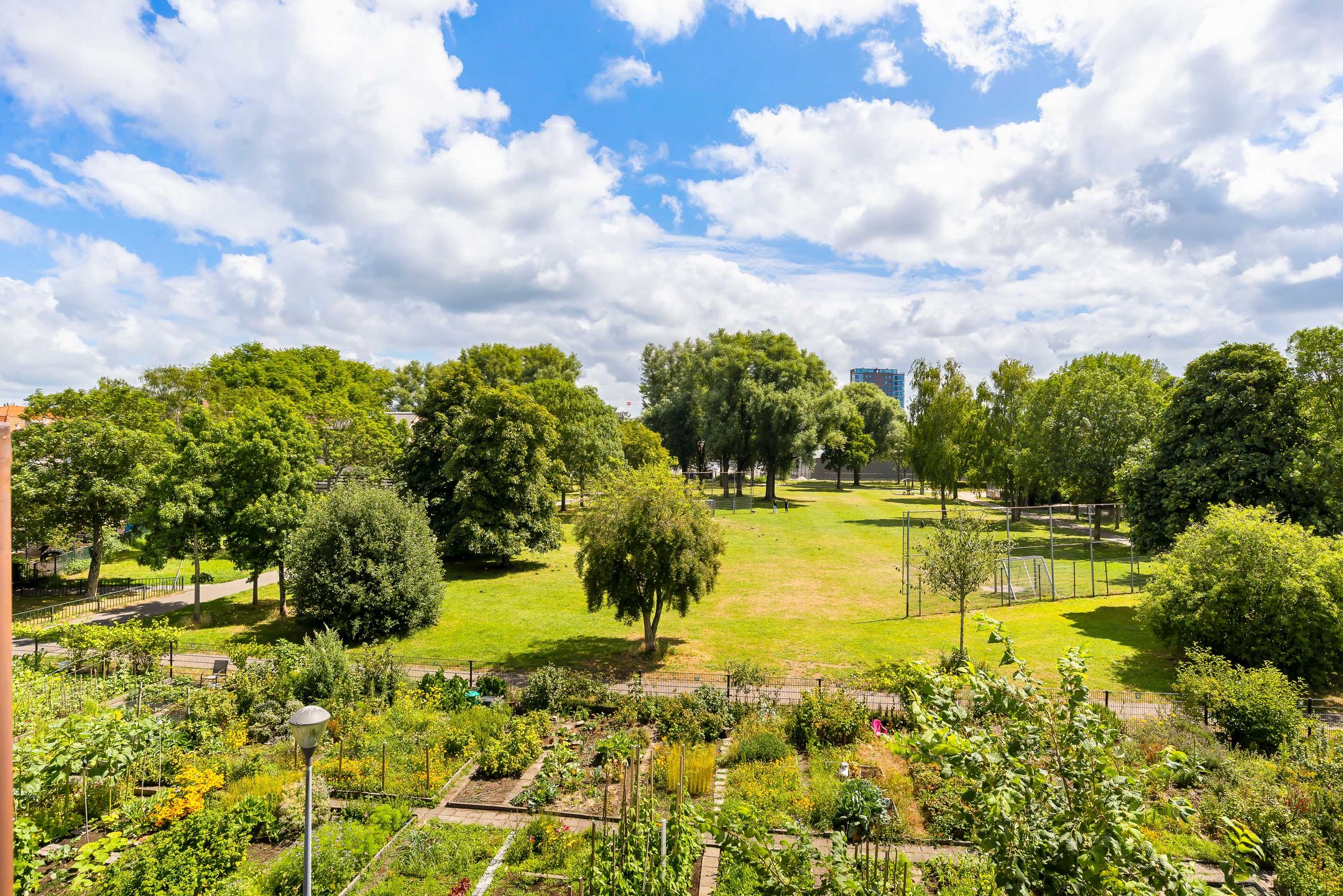 Foto 36 van President Steijnstraat 43-B