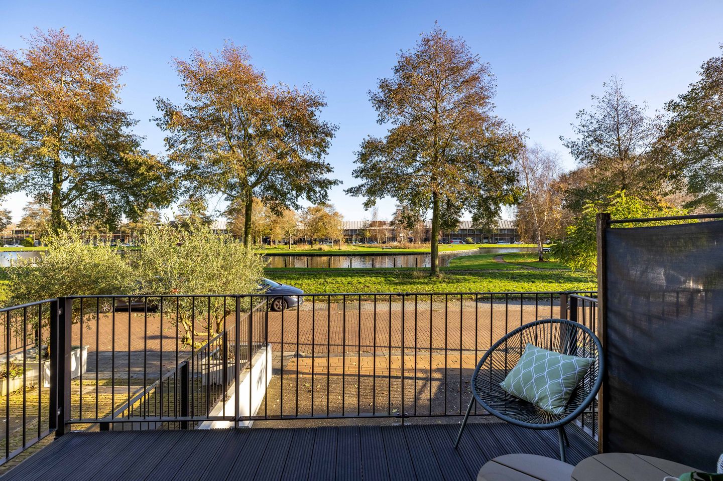 Foto 14 van Parelmoervlinder 18