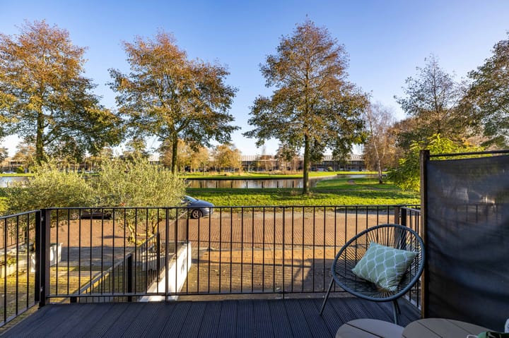 Foto 14 van Parelmoervlinder 18