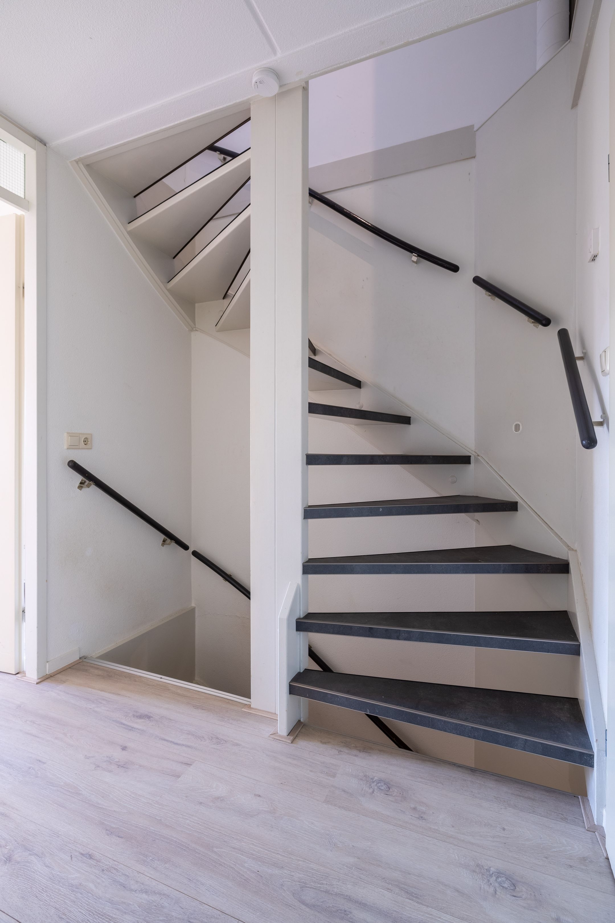 Foto 36 van Parelmoervlinder 18