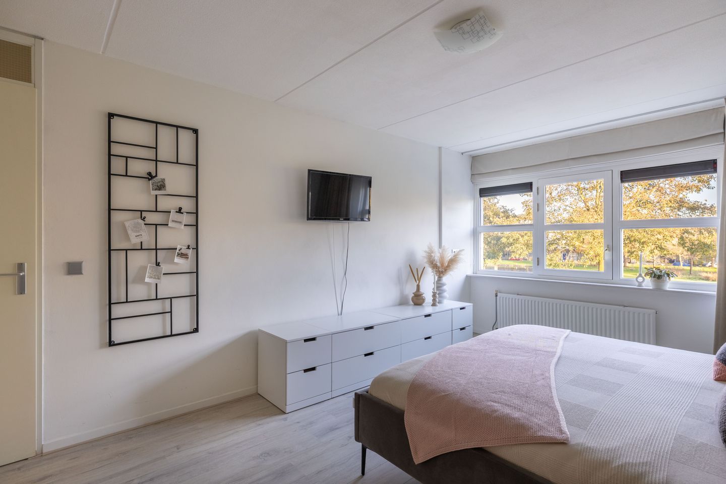 Foto 40 van Parelmoervlinder 18