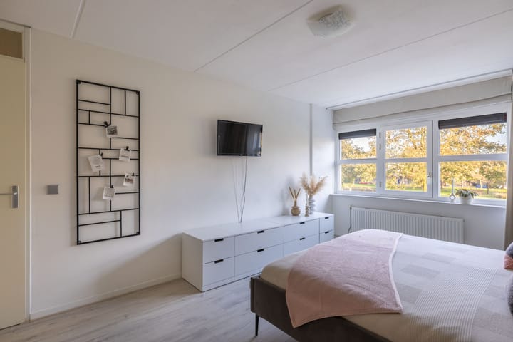 Foto 40 van Parelmoervlinder 18