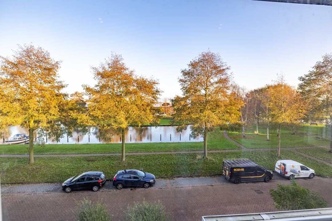 Foto 53 van Parelmoervlinder 18