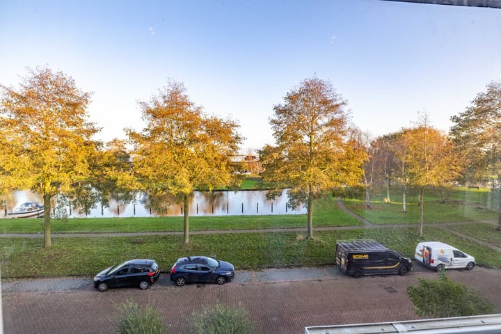 Foto 53 van Parelmoervlinder 18