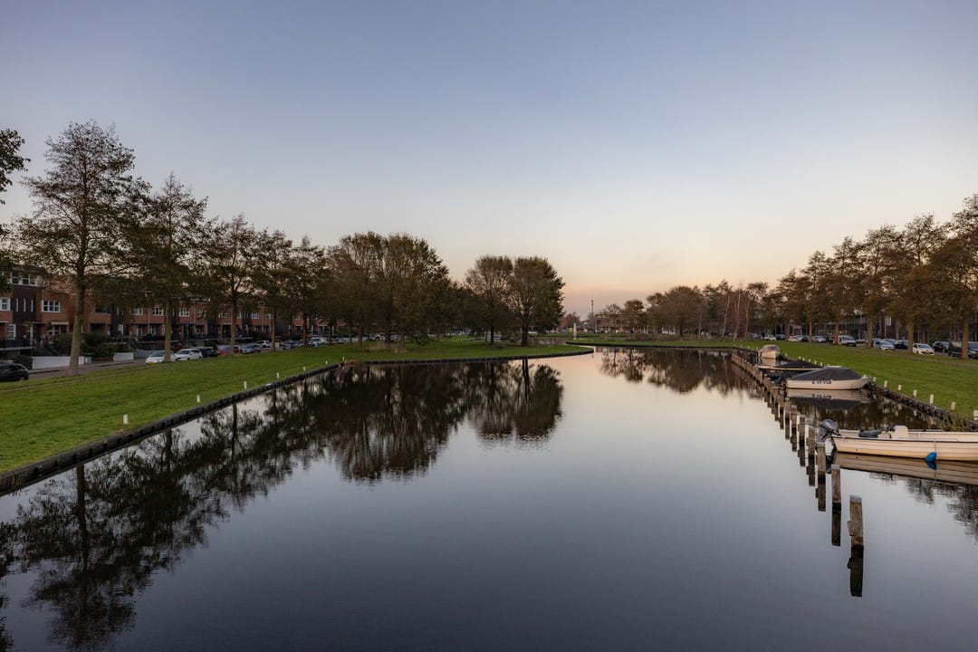 Foto 62 van Parelmoervlinder 18