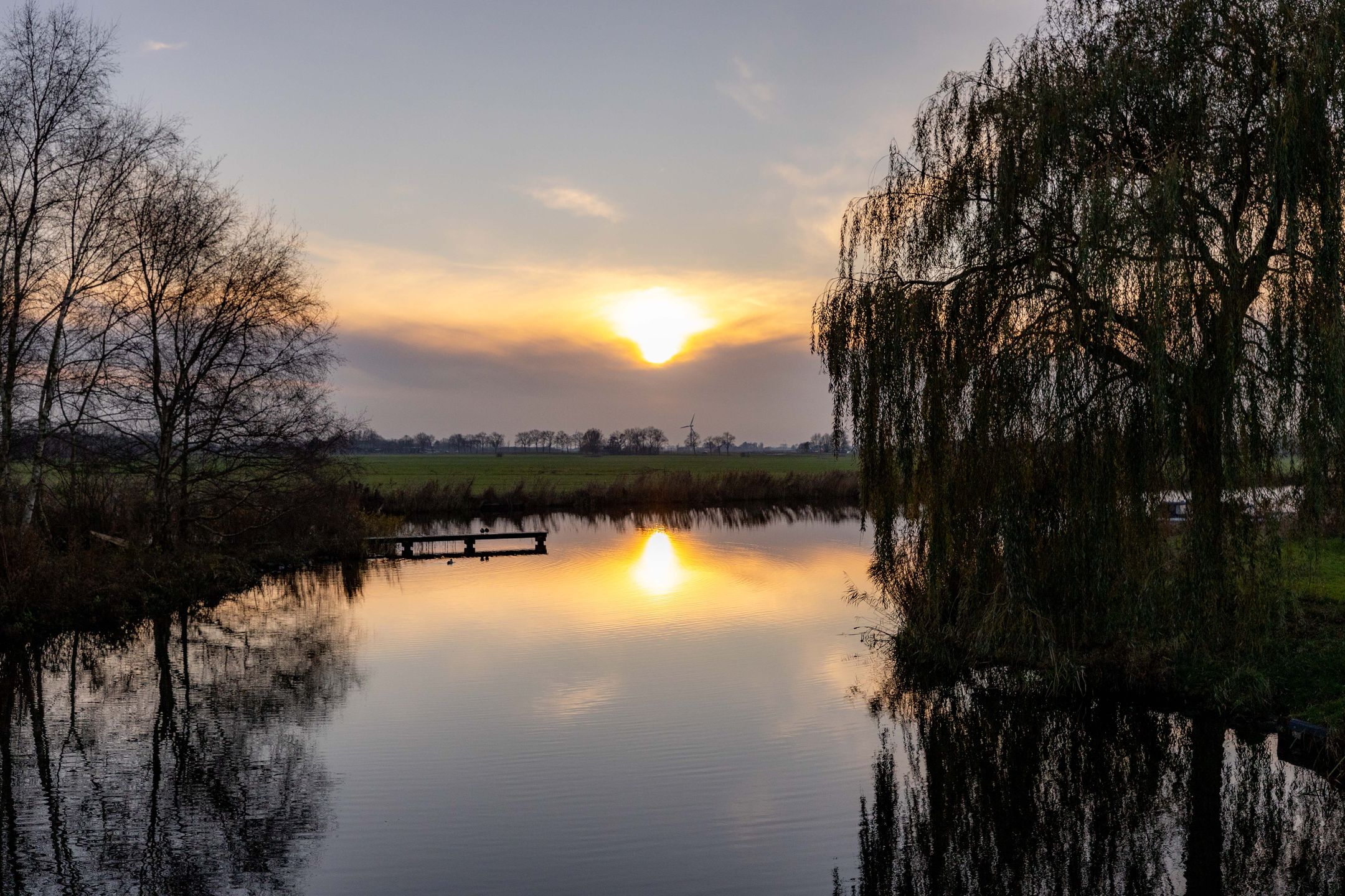 Foto 63 van Parelmoervlinder 18