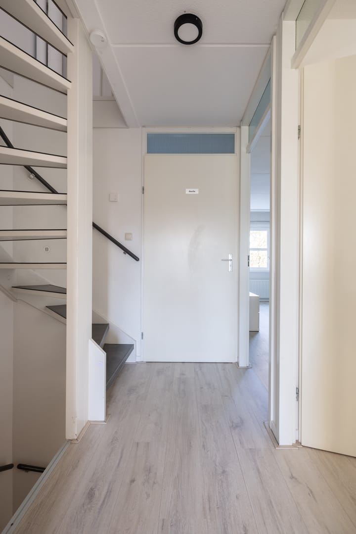 Foto 37 van Parelmoervlinder 18