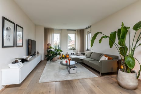 Swier 11 tertiary image