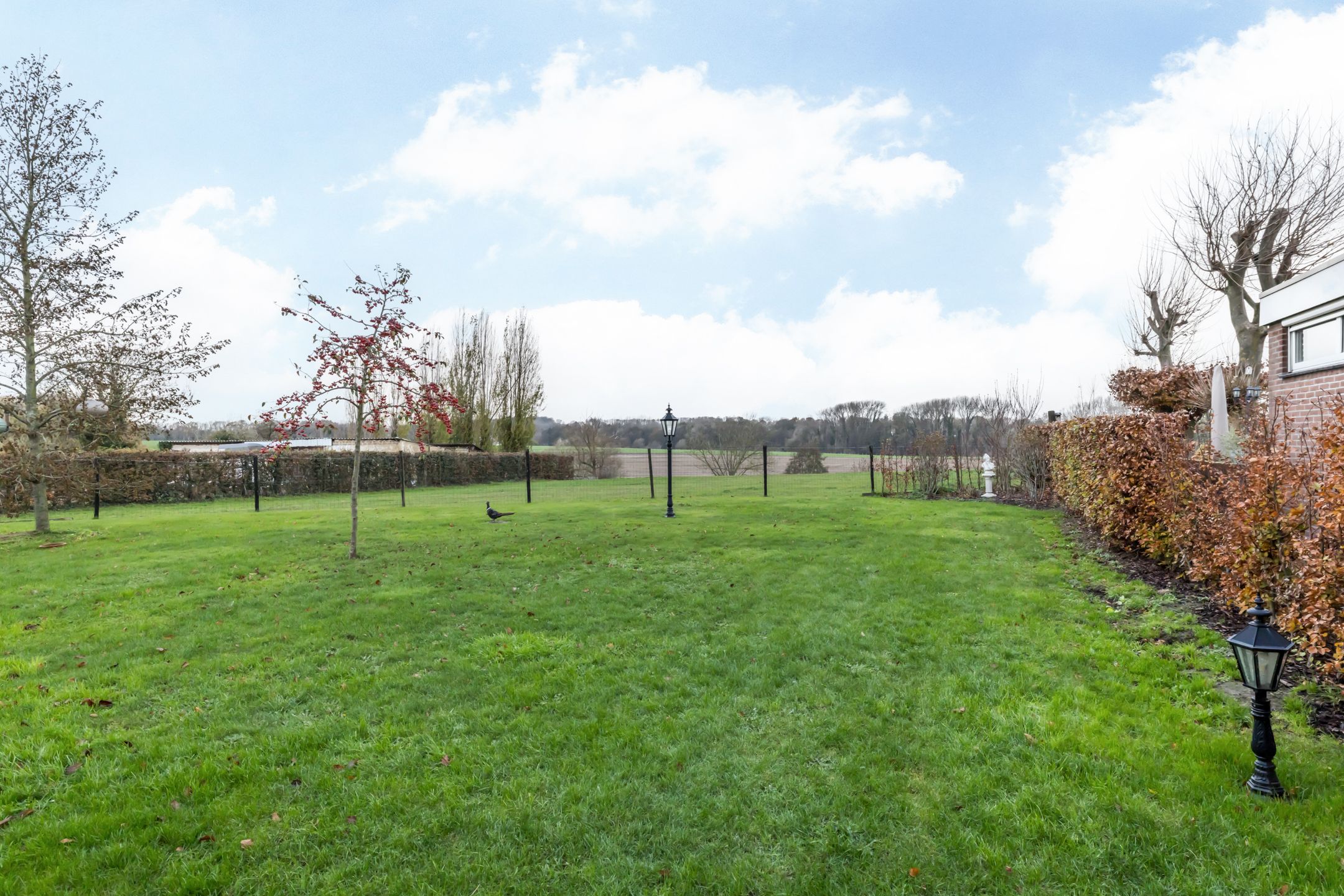 Foto 27 van Swier 11