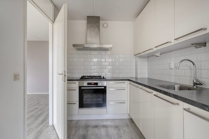 Foto 4 van Rosarium 97