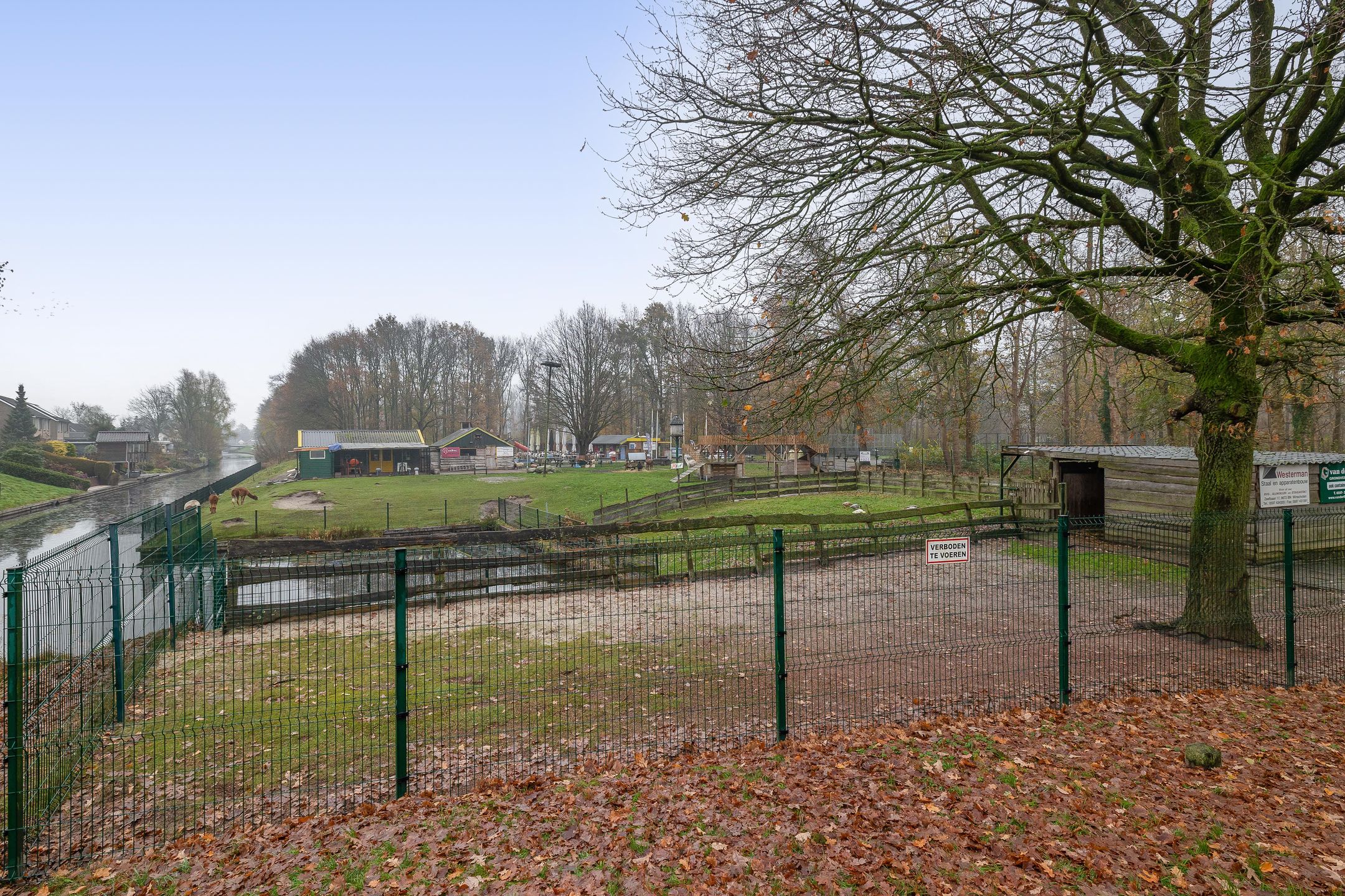 Foto 51 van Julianastraat 46