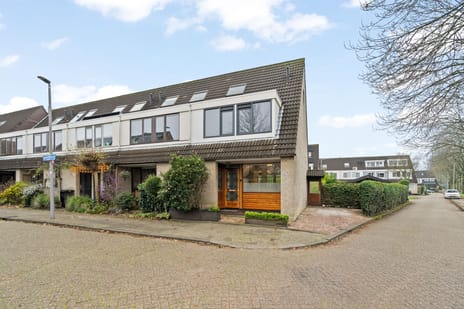 Raymond Brulezpad 1 secondary image