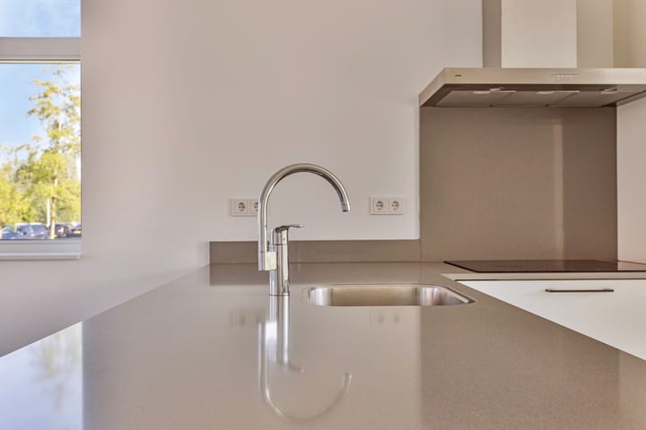 Foto 2 van Satijnzwam 111