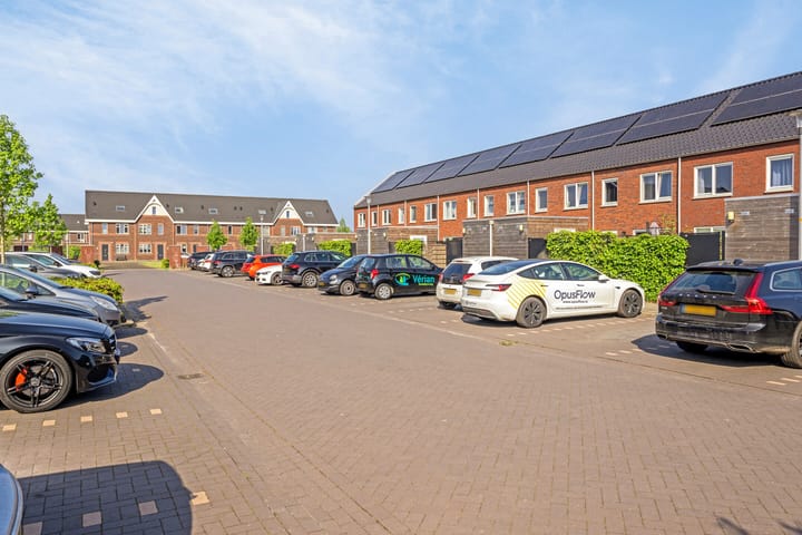 Foto 5 van Satijnzwam 111