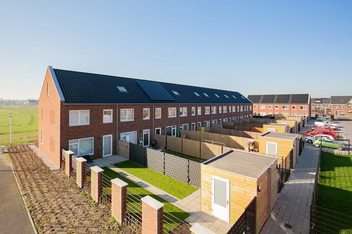 Foto 7 van Satijnzwam 111