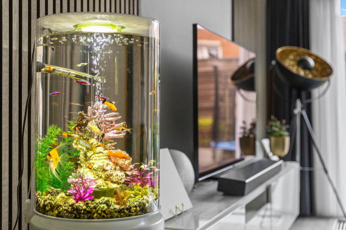 Foto 19 van Maassingel 45