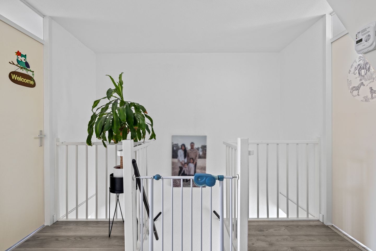 Foto 49 van Maassingel 45