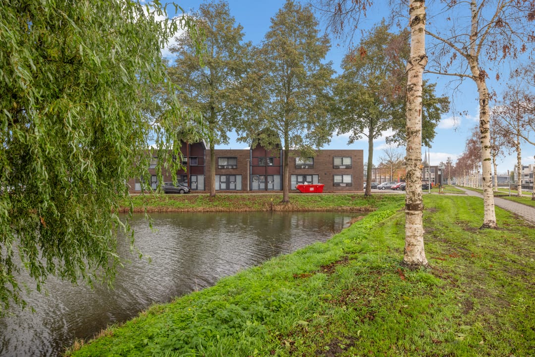 Foto 56 van Maassingel 45