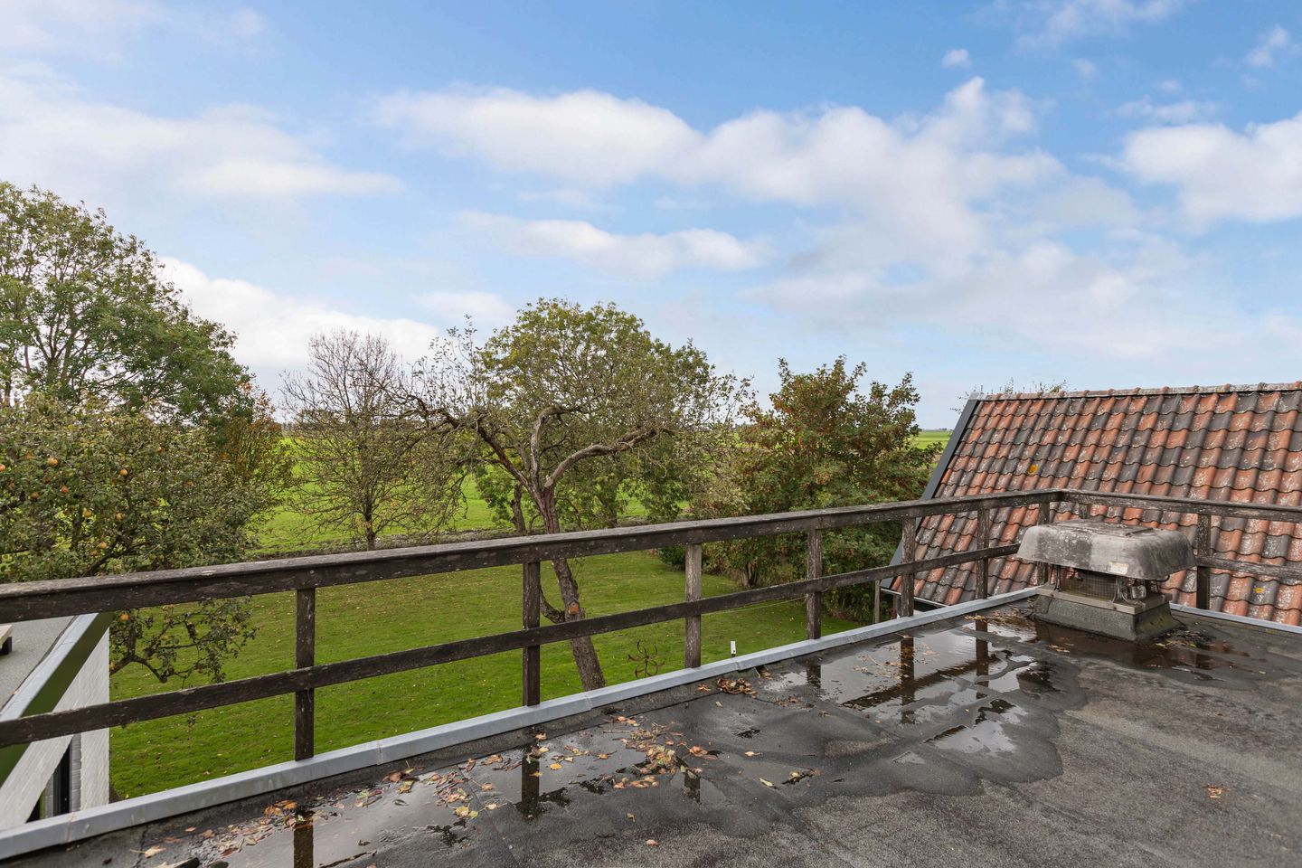 Photo 34 of Seerp van Galemawei 33