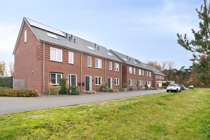 Foto 5 van Turfsteker 6