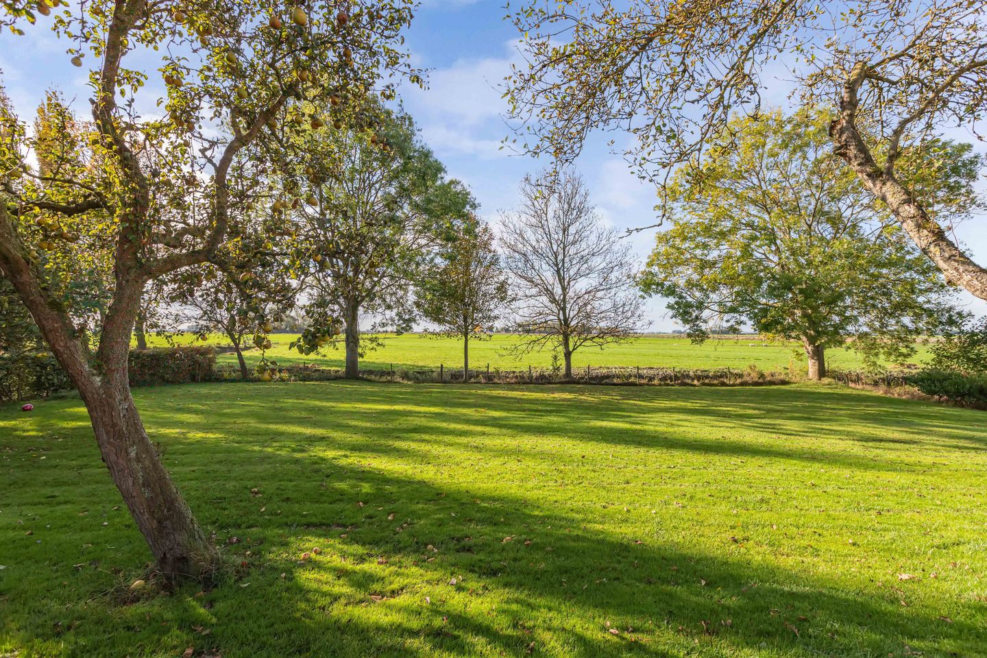 Photo 49 of Seerp van Galemawei 33