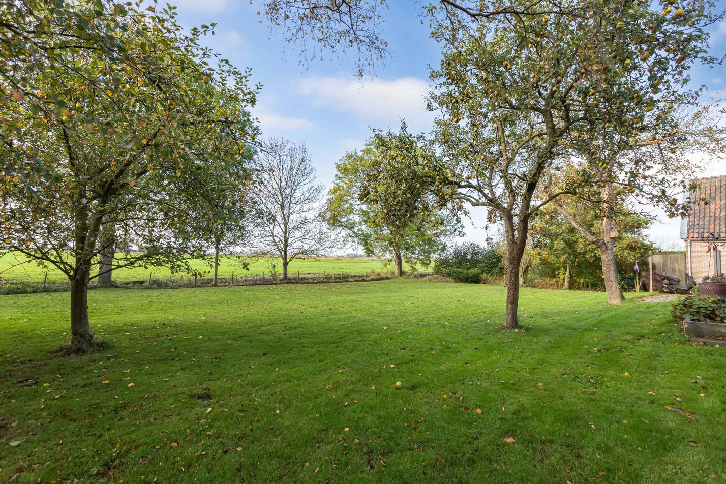 Photo 50 of Seerp van Galemawei 33