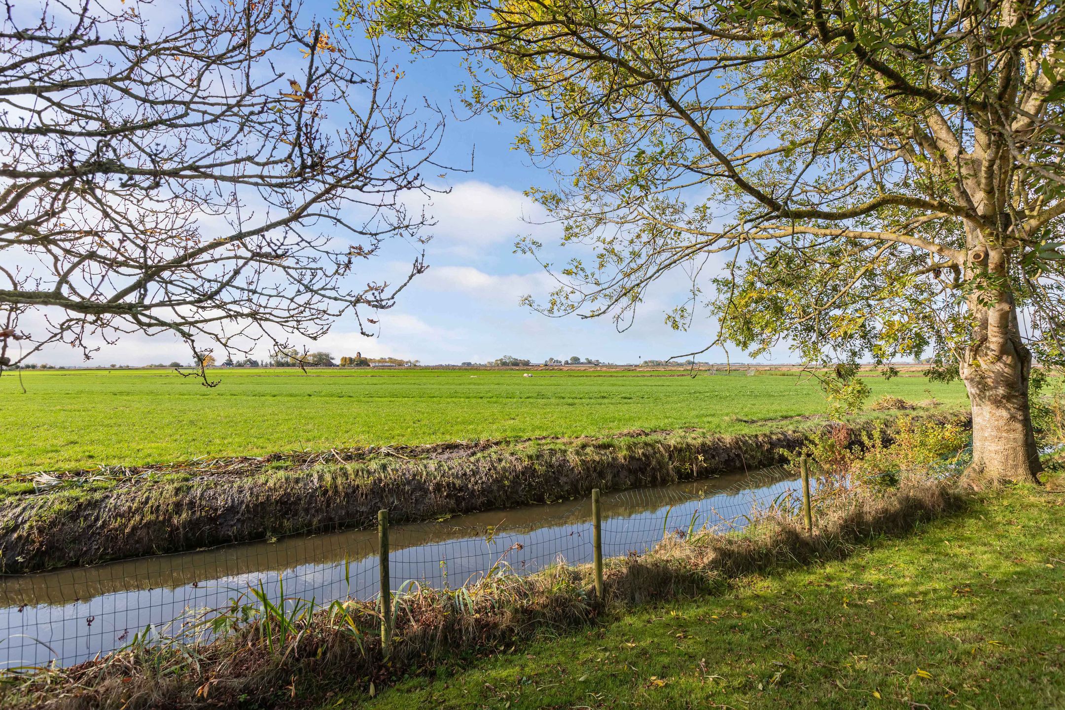 Photo 51 of Seerp van Galemawei 33