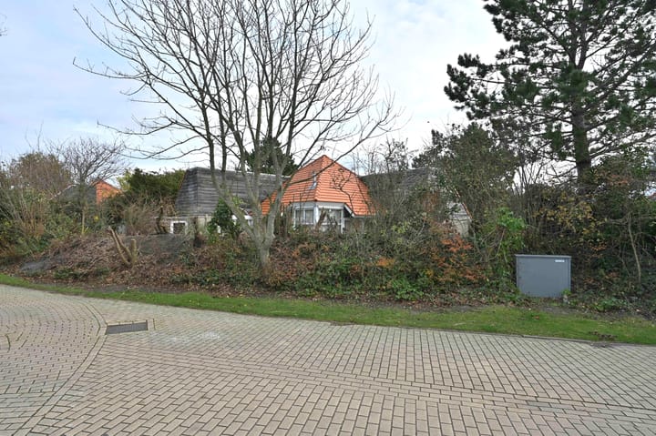 Foto 5 van Steenloper 2