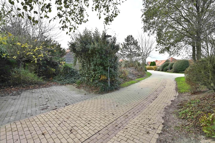 Foto 6 van Steenloper 2