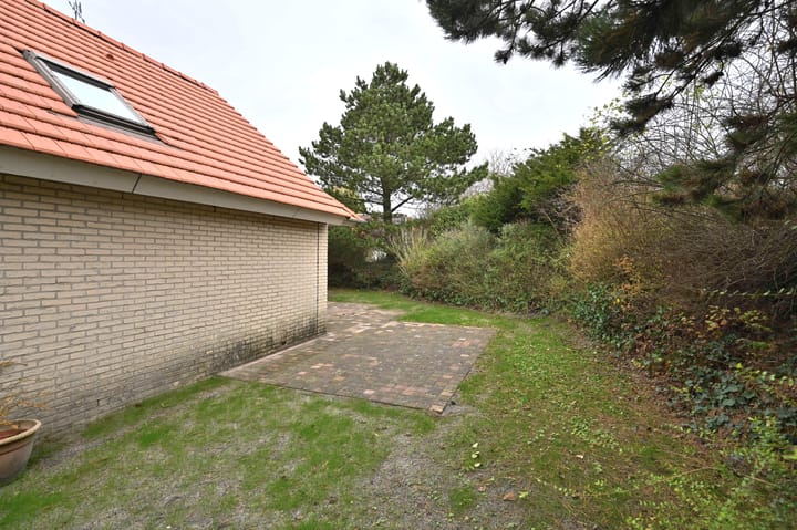 Foto 8 van Steenloper 2