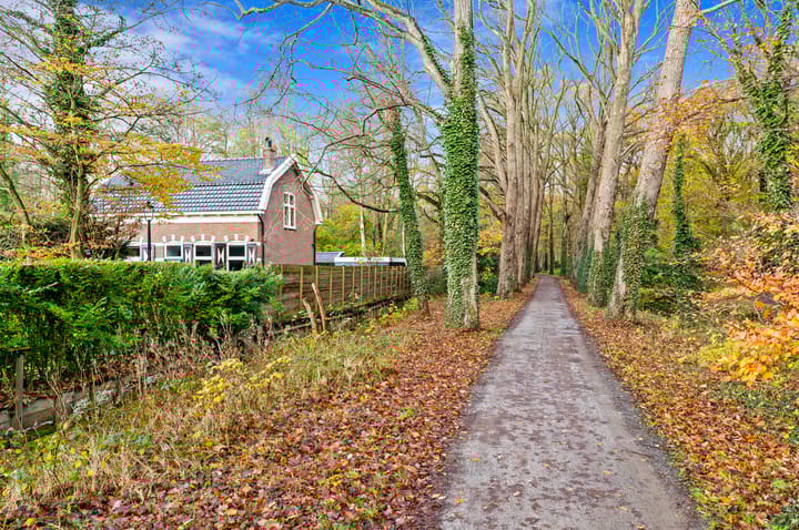 Foto 18 van Parelmoerhorst 220