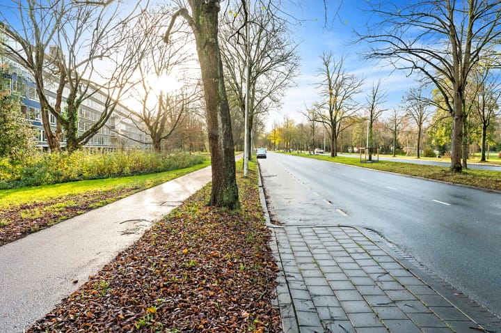 Foto 20 van Parelmoerhorst 220