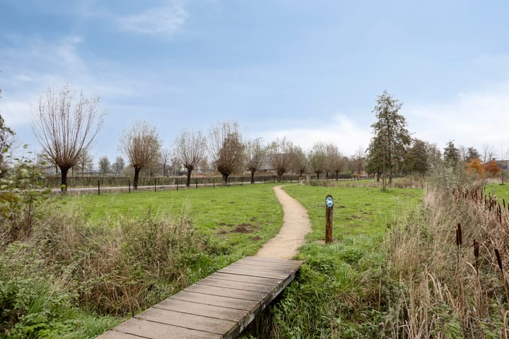 Foto 59 van Hofvijver 41