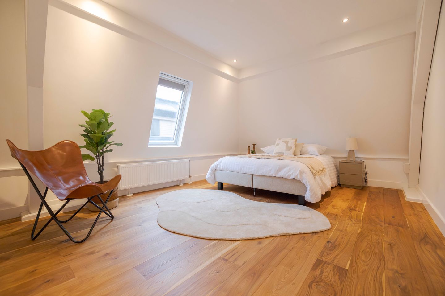 Foto 4 van Velperweg 19-202