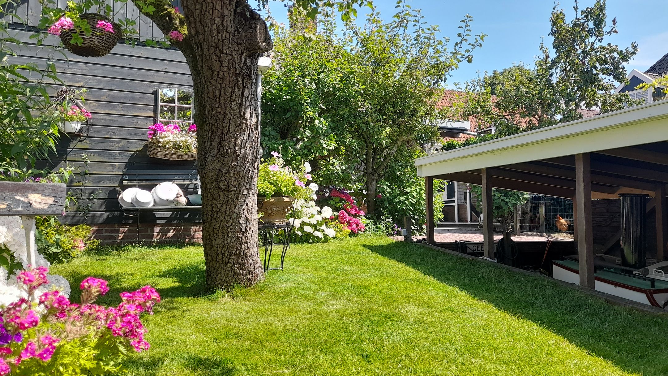 Foto 60 van Grote Buren 26