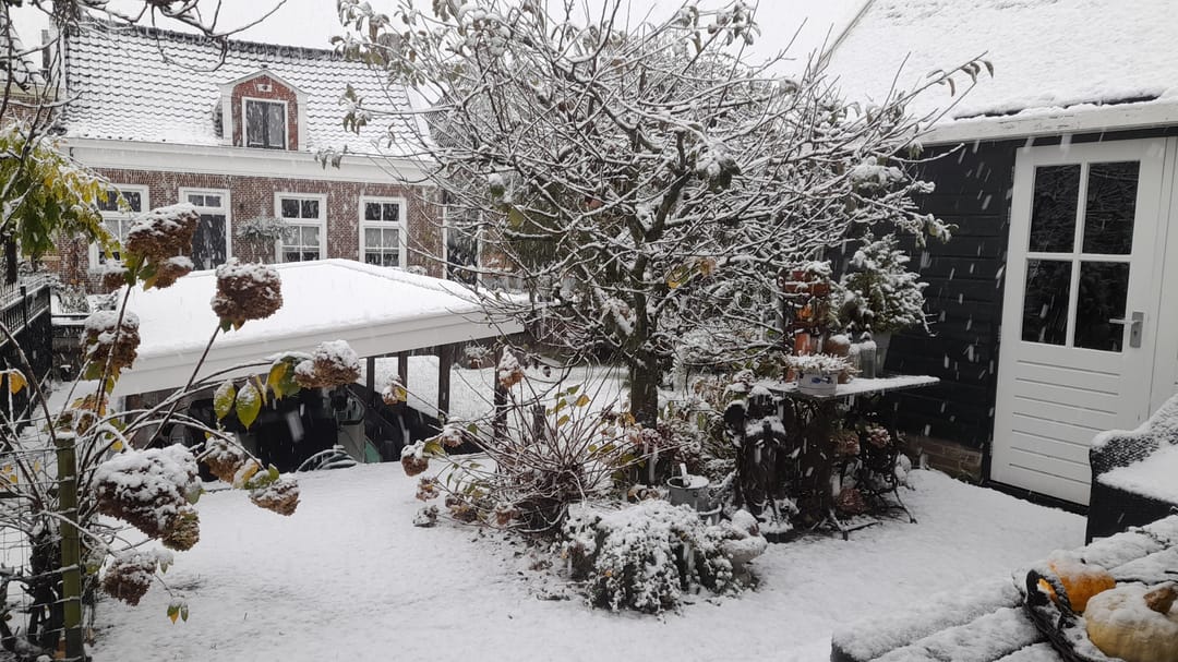 Foto 61 van Grote Buren 26