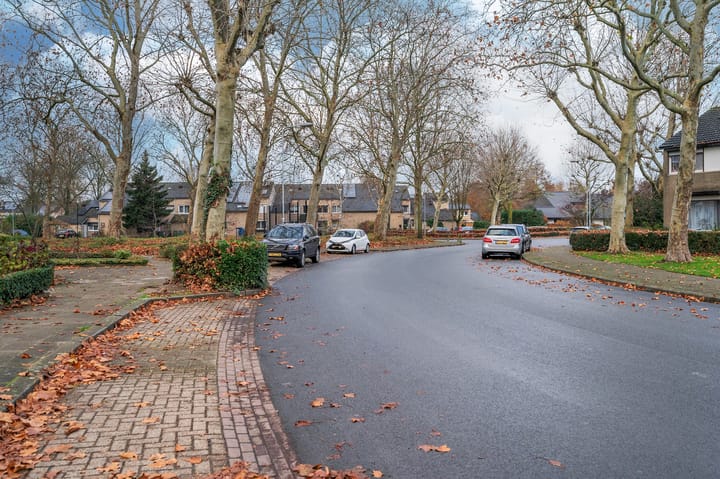 Foto 45 van Dickenslaan 79