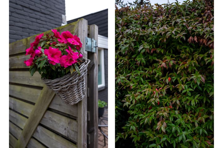 Foto 65 van Brakersweg 17