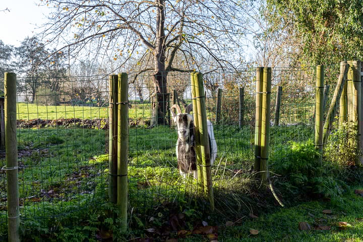 Photo 69 of Heulenslag 61