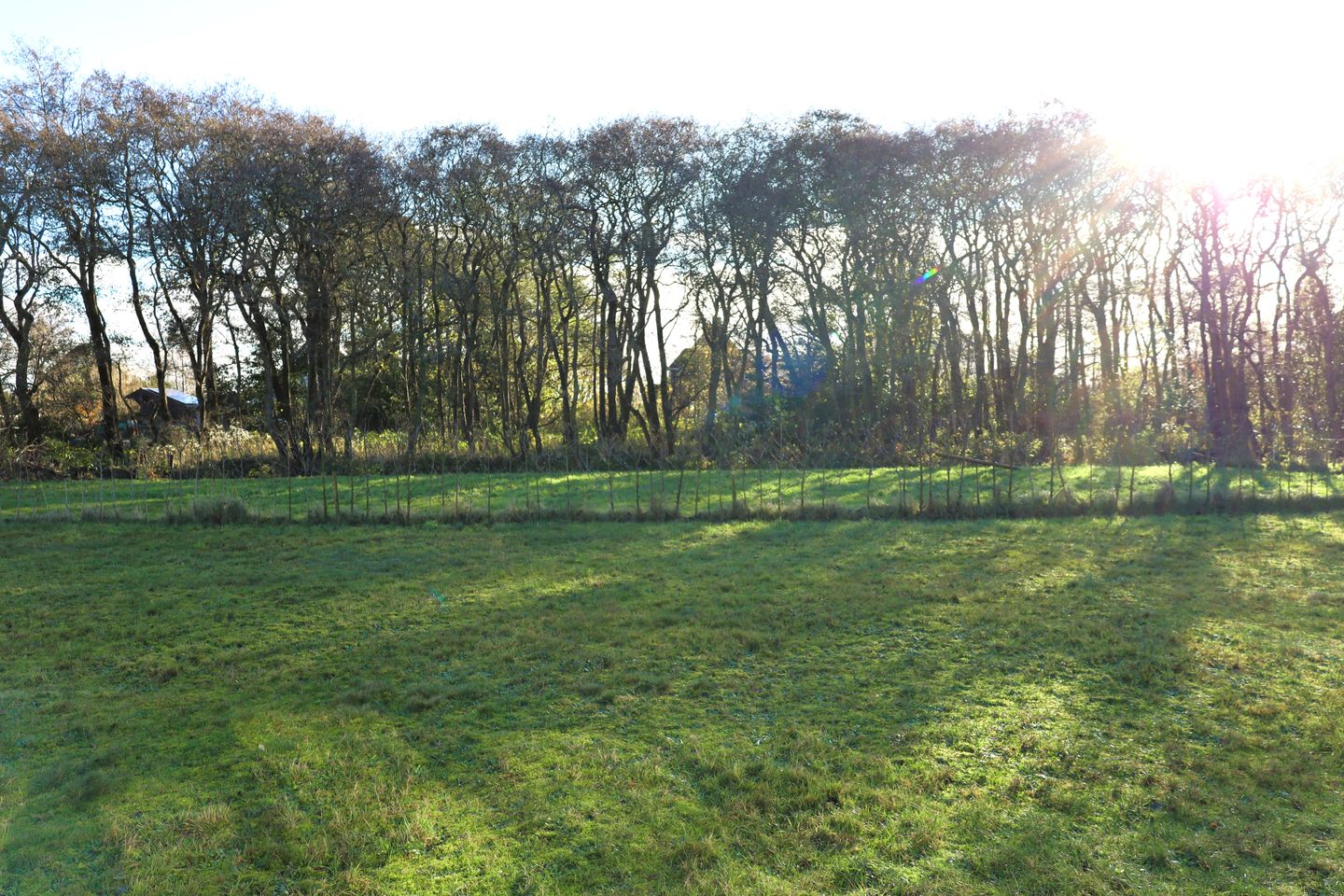 Photo 4 of Duinweg Lies 15