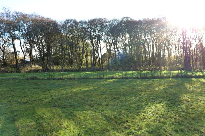 Photo 4 of Duinweg Lies 15