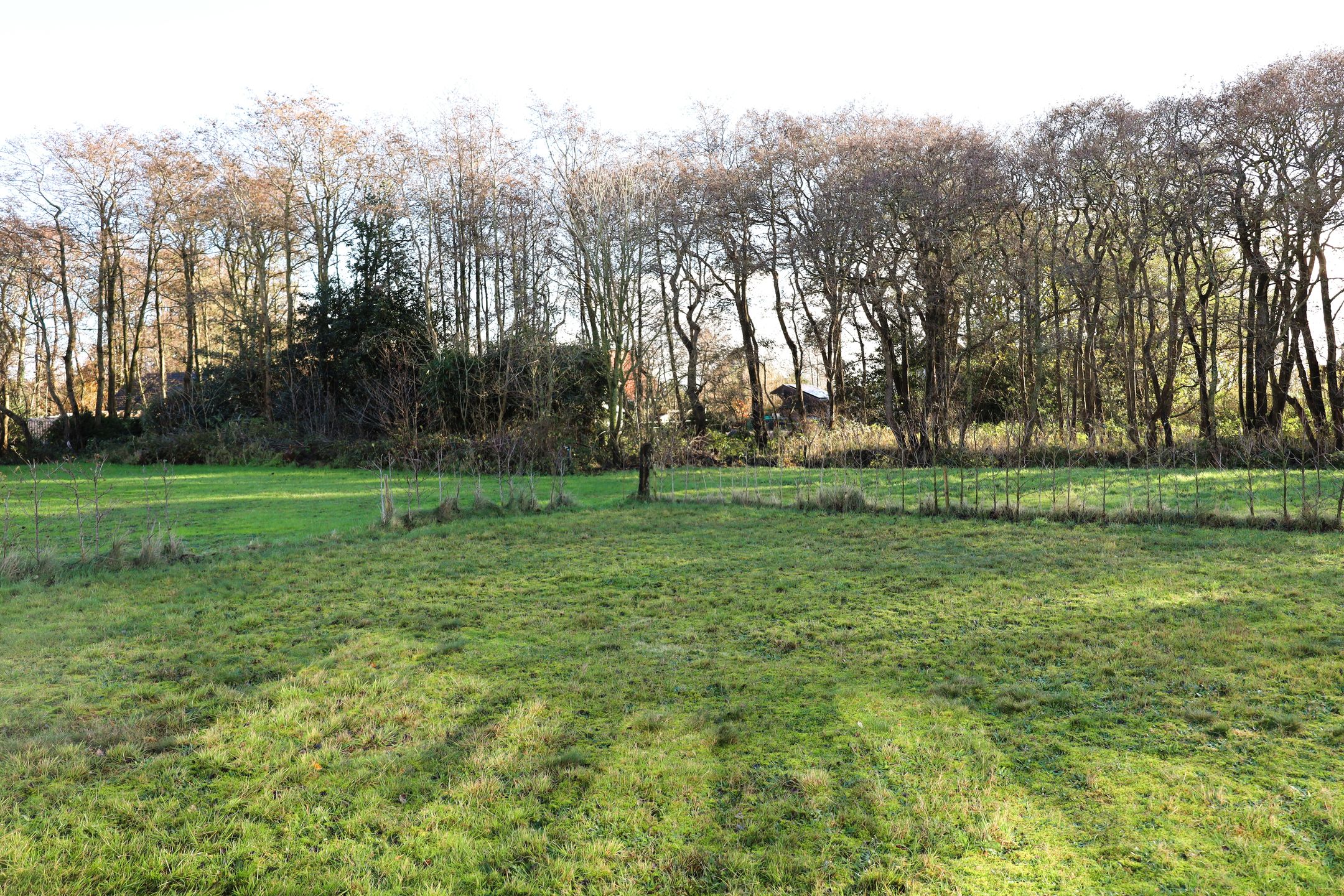 Photo 15 of Duinweg Lies 15